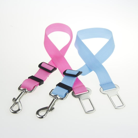 Sicher fahren ! Der Anschnaller für ihren Liebling